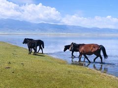 -青海湖国家重点风景名胜区