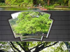 -晓港公园