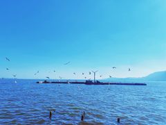 -海埂大坝