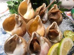 海螺盅-大渔铁板烧(大悦城店)