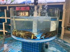 -闽鲜森霞浦海鲜城
