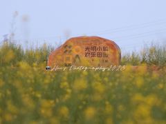 -光明小镇欢乐田园