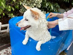 -汪说喵讲宠物乐园宠物酒店(红星美凯龙店)