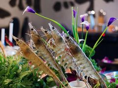 -七秒鱼·斑鱼火锅(太阳城店)