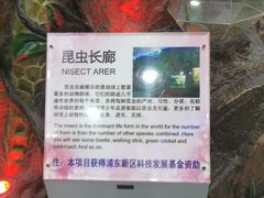 -上海大自然野生昆虫馆(东方明珠·爬宠昆虫探索中心)