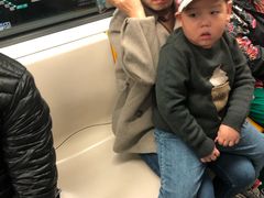 -蒲黄榆(地铁站)