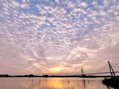 -芒洲湿地公园