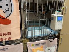 -瑞鹏宠物医院·骨外科·心肾科·肿瘤科(九亭店)