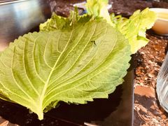 -啊美丽炭火烤肉(滑翔一店)
