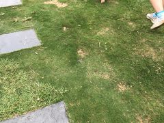 -滨湖塘西河公园
