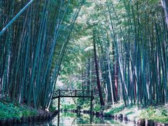 -同里国家湿地公园