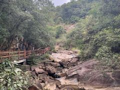 -广州白江湖森林公园