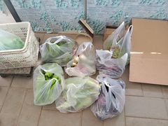 -庞各庄翠芳园西瓜蔬菜基地采摘园