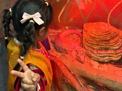 -上海大自然野生昆虫馆(东方明珠·爬宠昆虫探索中心)