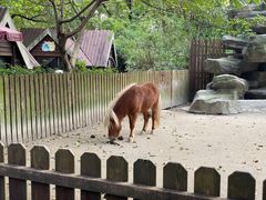 -上海野生动物园