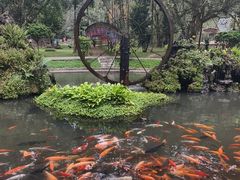 -莫里热带雨林景区