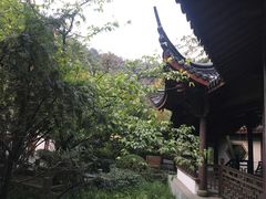 -十八棵（老龙井）御茶园(老龙井店)