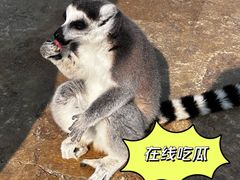 -杭州野生动物世界