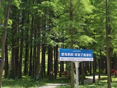 -佛冈森波拉度假区