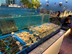 -曼格活海鲜·牛排自助(光明蓝鲸店)
