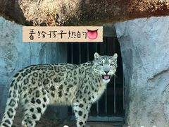 -青藏高原野生动物园