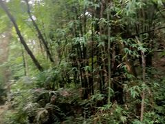 -凤栖山