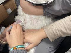 -北京派仕佳德动物医院·超导核磁·CT·神经科·骨科·内外科·急重症管理中心