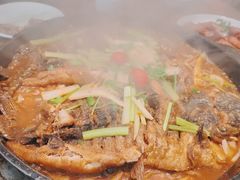 -老板恋上鱼(高新万达店)
