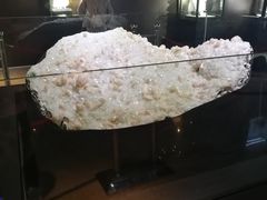 -中国地质大学逸夫博物馆