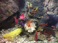 -太平洋海底世界