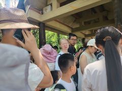 -牛背梁国家森林公园