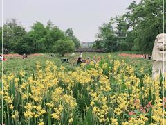 -桂湖森林公园