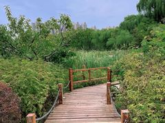 -燕郊植物园