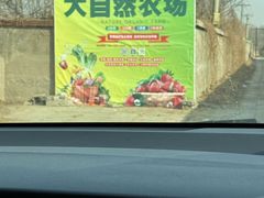-大自然农场蔬菜草莓采摘园
