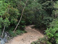 -梧桐山风景名胜区