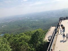 -紫金山山顶公园