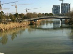-南翔镇银翔湖公园
