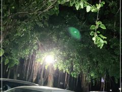 -逍遥谷景区