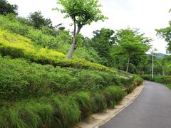 -东部华侨城