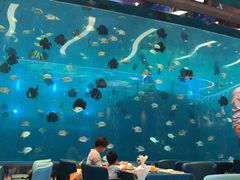-瑞德姆美人鱼海底演艺主题餐厅(亚龙湾店)