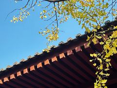 -天龙宝严素食馆(大兴善寺店)