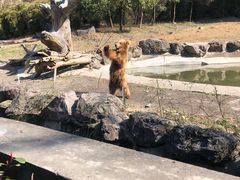 -宁波野生动物园