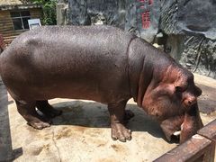 -贵州森林野生动物园