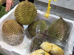 -曼阁市场水果批发市场