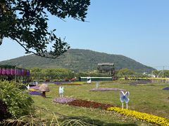 -苏州太湖西山岛开心农场