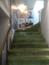 -蚂蚁造型沙龙