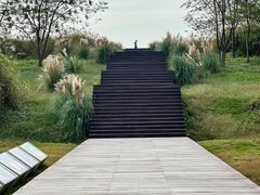 -良渚古城遗址公园