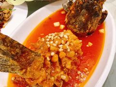 松鼠桂鱼-双井轩(双井店)