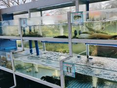 -宴悦海鲜餐厅·游水海鲜·牛排(亚龙湾瑞吉店)