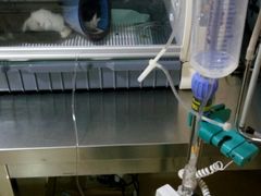 -宠颐生宠物医院·综合诊疗(先锋分院)